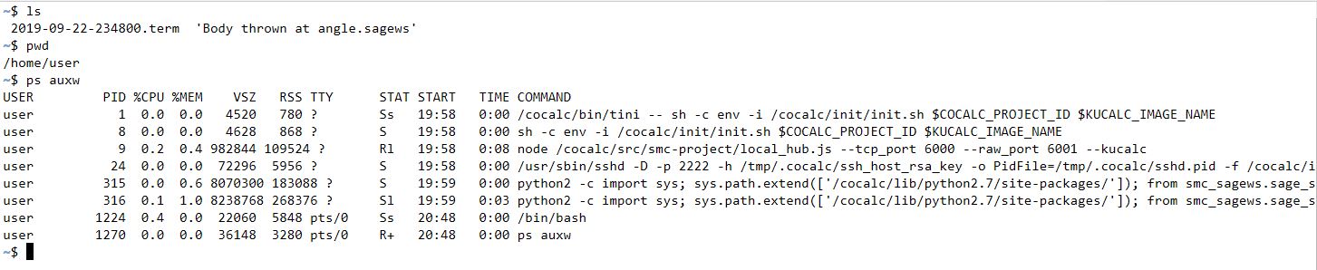 Linux-терминал в CoCalc